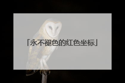 永不褪色的红色坐标